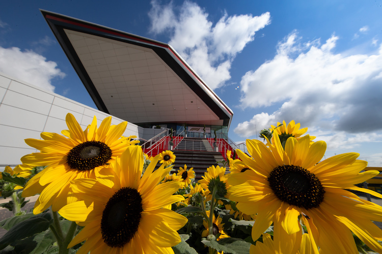 Derzeit sieht das in Silverstone ganz freundlich aus