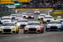 Cecotto startet im Audi TT Cup