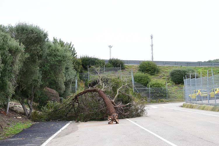Am Montag stürmte es heftig in Jerez, auch nun fegt stetig der Wind über die Rennstrecke