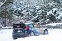Ott Tänak
