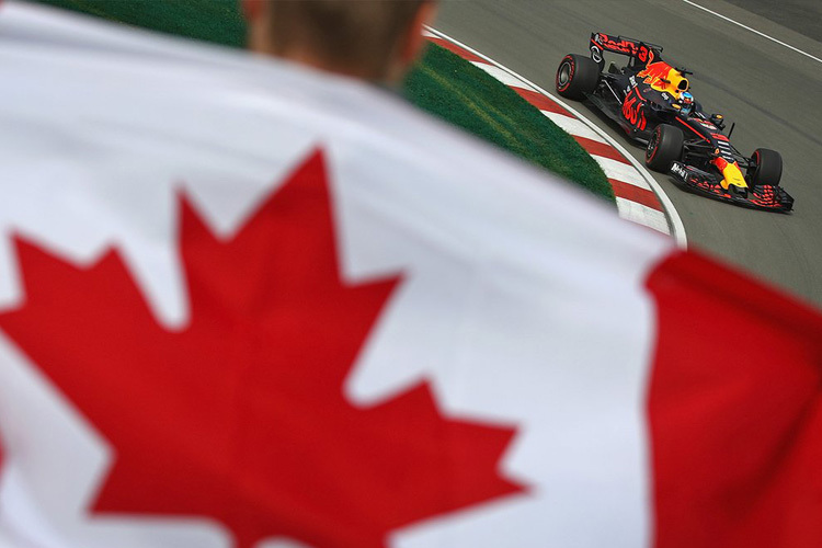 Daniel Ricciardo in Montreal