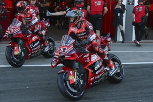 Ducati-Werksfahrer Nicolo Bulega in MotoGP-Diensten)