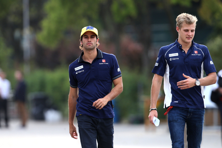 Professionelles Verhältnis, aber keine Freunde: Felipe Nasr und Marcus Ericsson