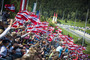 Die österreichischen Fans feuerten Hannes Arch an