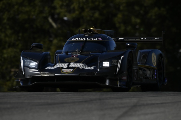 Der Cadillac DPi in den Farben von  Mustang Sampling