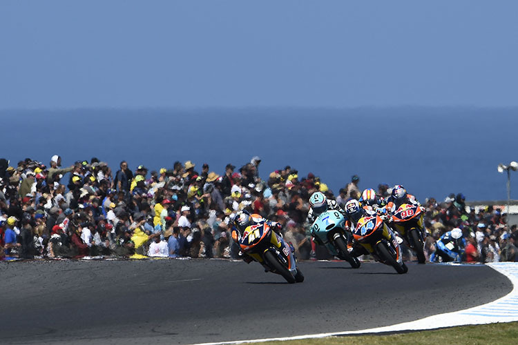 2015 siegte Miguel Oliveira im Moto3-Rennen auf Phillip Island vor Efren Vazquez und Brad Binder