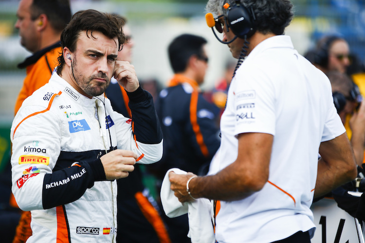  Fernando Alonso: Frust in der Formel 1, Freude an der IndyCar-Serie