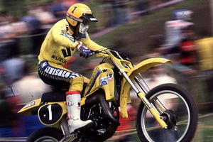 Harry Everts 1981)