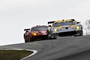 GT-Platzhirsche: SRT-Viper vor Risi-Ferrari