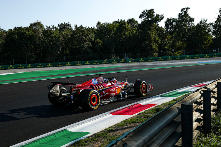 Charles Leclerc in Monza