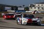 Der BMW M8 GTE in Sebring