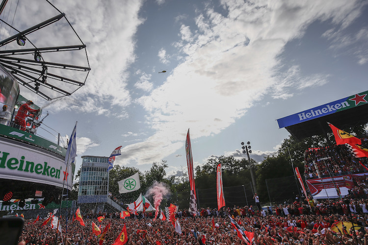 Monza-Sieger Charles Leclerc genoss den Fan-Jubel im letzten Jahr, diesmal müssen die Fans aber zuhause bleiben