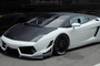 Der neue Reiter Lamborghini Gallardo LP600 GT3