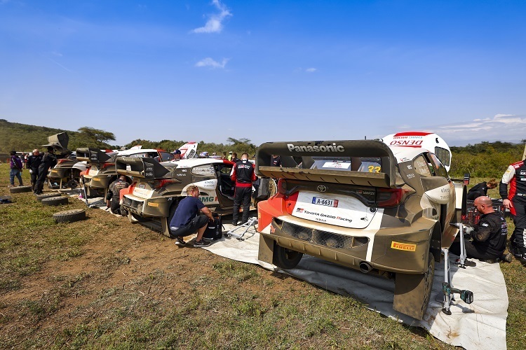 Die vier siegreichen Toyota im Kenia-Service