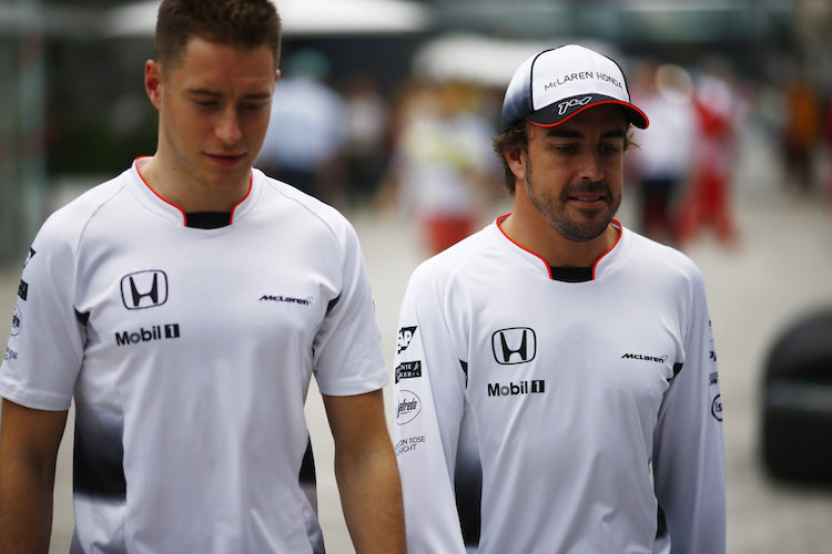 McLaren-Honda 2016: Stoffel Vandoorne und Fernando Alonso