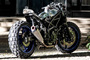 Die Suzuki SV650 «Little Bastard»