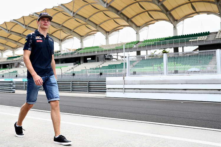 Max Verstappen in Sepang