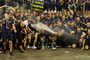 Red Bull Racing feiert in Abu Dhabi