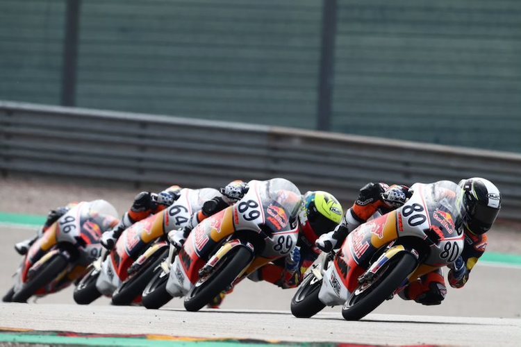 Dramatisches Finale des zweiten Red Bull Rookies Cup-Rennen auf dem Sachsenring