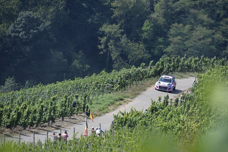 Eine Prüfung in den Mosel-Weinbergen 