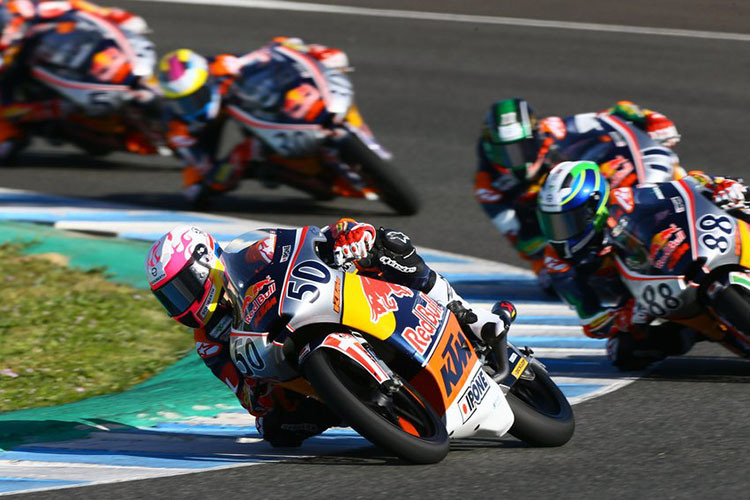 Bewirb dich jetzt und werde Teil des Red Bull Rookies Cup