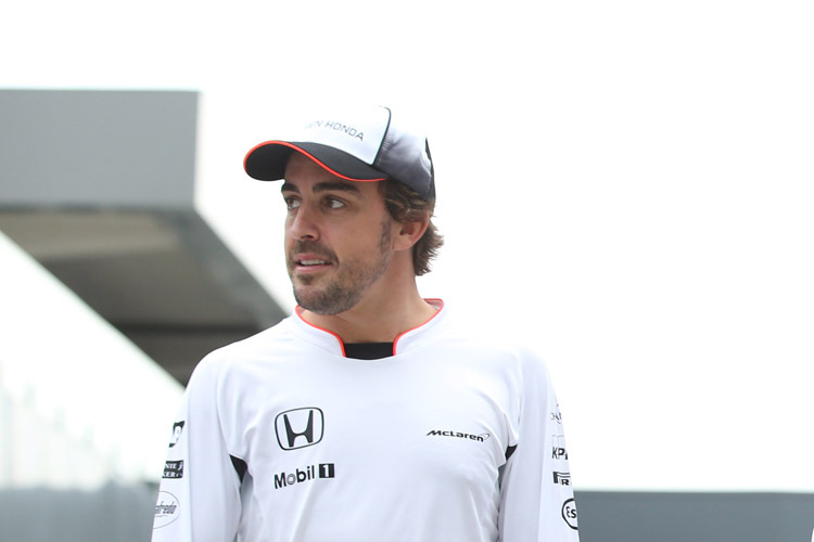 Fernando Alonso kann Toto Wolff verstehen