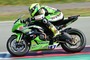 Rob Hartog hat Spass zuhause