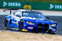 Dries Vanthoor wird im Schubert Motorsport BMW M4 GT3 mit der Startnummer #33 Platz nehmen