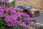 Thierry Neuville