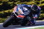 Loris Baz auf der Ducati GP14.2