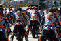 Die Red Bull Rookies