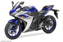 Mit Bikes wie der Yamaha R3 soll in der neuen Klasse gefahren werden