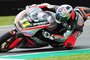 Sandro Cortese