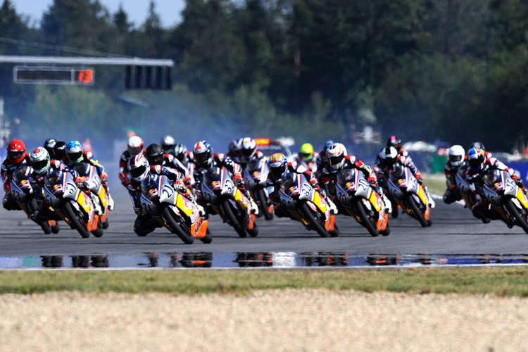 Beliebt: Der Red Bull Rookies Cup