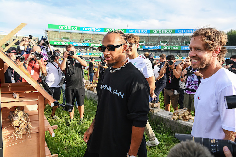 Lewis Hamilton und Sebastian Vettel
