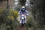 Die Husqvarna FE 450 ist siegfähig