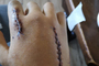 Dominic Schmitters Hand ist schwer lädiert
