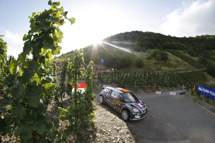 Die Rallye Deutschland in den Weinbergen