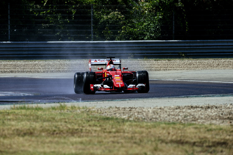 Beide Piloten (im Bild Sebastian Vettel) probierten auf der künstlich bewässerten Piste verschiedene Profile aus