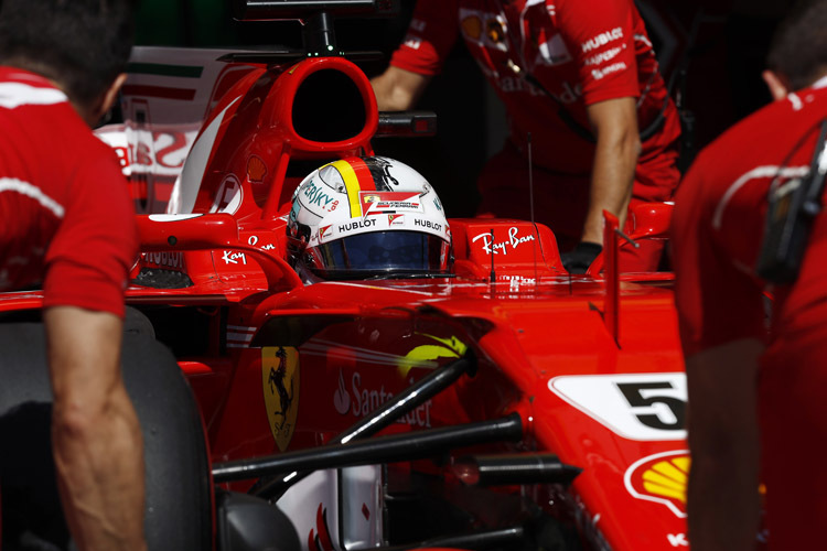 Sebastian Vettel durfte sich über die Ungarn-Pole freuen