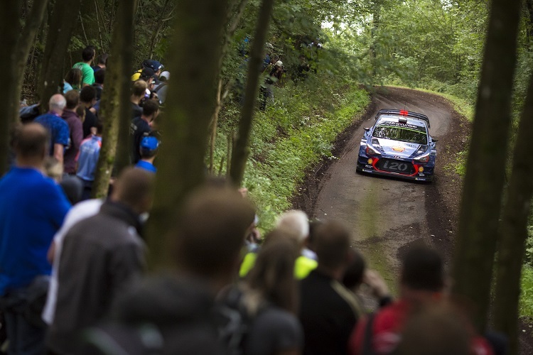 Thierry Neuville beim Deutschland-Shakedown