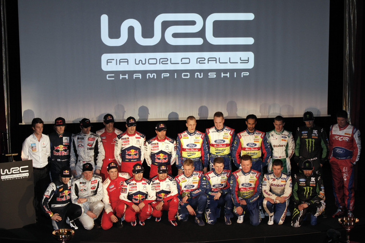 Die WM-Teams 2010