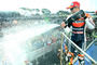 Grund zur Freude: Sieger Casey Stoner