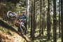Im unwegsamen Gelände brilliert die KTM Freeride 250 F mit Traktion
