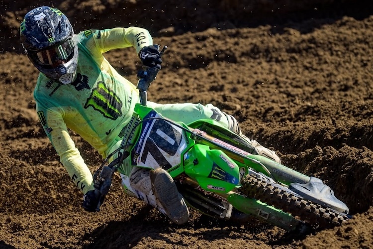 Jorge Prado