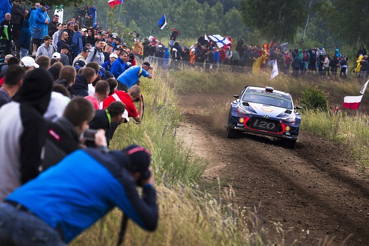 Thierry Neuville beim Shakedown in Polen