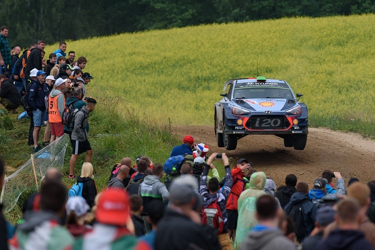 Thierry Neuville war 2017 der letzte Sieger in Polen