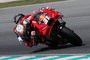 Pedro Acosta im neuen Red Bull-GASGAS-Tech3-Design