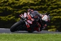 Schnellster auf Phillip Island: Marco Bezzecchi (Aprilia)