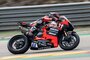 Nicolo Bulega